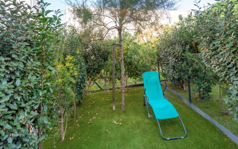 La Dune: Grøn, Blad, Busk, Have, Skygge, Backyard, Vedplante, Lawn, Landscaping, Gård