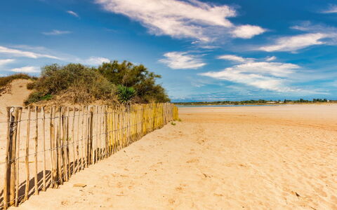 La Dune: Himmel, Blå, Daytime, Naturligt Miljø, Horisont, Strand, Sky, Sand, Økoregion, Sommer