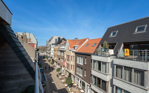 Ter Duyne with Balcony: Lejlighed, Altan, Tømmer, Hotel, Veranda, Bjælkehytte