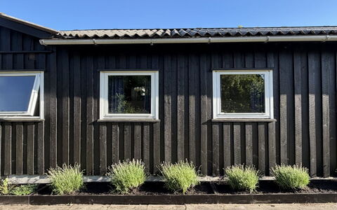 Hælf - 600M from the Sea: Træ, Kompositmateriale, Sidespor, Hårdttræ, Planke, Dagslys