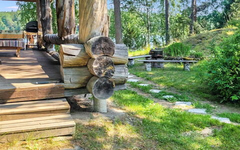 Kelokki: Træ, Træ, Have, Hårdttræ, Landscaping, Backyard, Woodland, Skygge, Tømmer