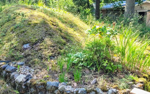Kelokki: Vegetationen, Busk, Plantesamfund, Bunddække, Have, Jord, Urteagtig Plante, Landscaping, Backyard