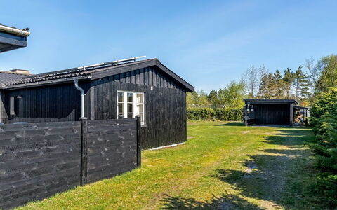 Yaris - from the Sea: Boligområde, Busk, Hus, Hjem, Have, Estate, Skygge, Landscaping, Lawn