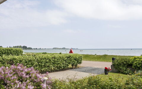 Cornelius - 30M from the Sea: Kyst, Kyst, Landscaping, Hæk