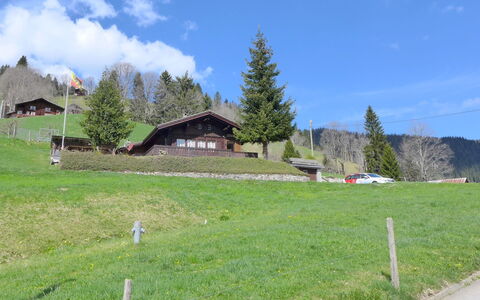 Chalet Träumli: Græs, Træ, Græs-, Hus, Landdistrikt, Bakke, Highland, Landskab, Almindeligt