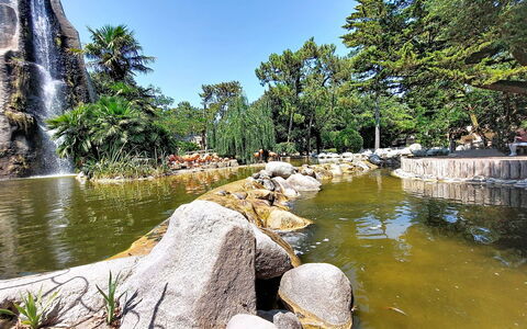 La Palmeraie: Water Feature, Turistattraktion, Have, Fritid, Ferie, Forår, Vandfald, Dam, Botanisk Have