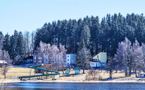 Lakeview Luxury Lodge & Garden: Træ, Vinter, Sne, Fryser, Lærk, Evergreen, Pine Family