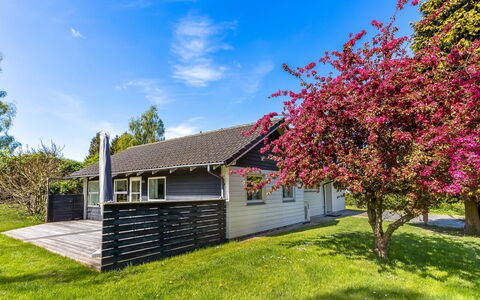 Prohor - 150M from the Sea: Hjem, Sommerhus, Sidespor, Hårdttræ, Skygge, Planke, Design, Estate, Veranda, Dæk