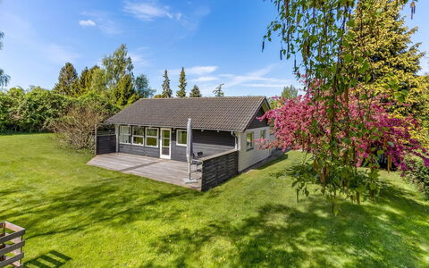 Prohor - 150M from the Sea: Hjem, Sommerhus, Sidespor, Hårdttræ, Skygge, Planke, Design, Estate, Veranda, Dæk
