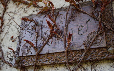 Les Jonquilles: Facade, Dør, Hjem, Tag, Kompositmateriale, Udendørs Møbler, Skygge, Estate, Veranda, Stol