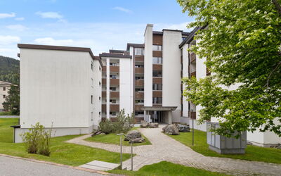 Davos 690