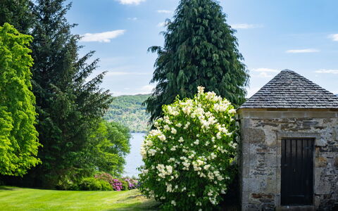 Farmburn Bothy: Grøn, Blad, Blomst, Vegetationen, Busk, Have, Forår, Bunddække, Landscaping, Botanisk Have