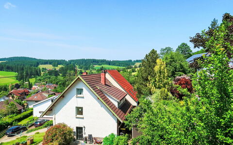 Blackforest Birdnest: Grøn, Hus, Busk, Sommerhus, Tag, Hjem, Landdistrikt, Landsby, Stuehus, Have