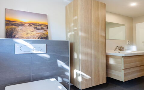 Residence Domburg: Gulvbelægning, Indretning, Etage, Væg, Badeværelse, Træ, Sanitærarmatur, Badeværelsesskab, Toilet, Spejl