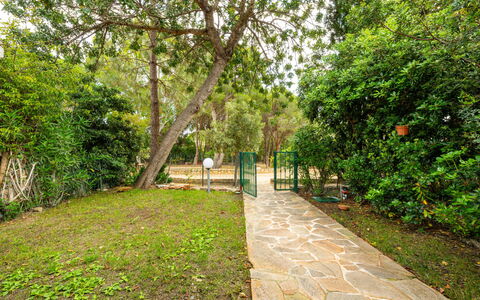 Casa ai Mandorli: Blad, Vegetationen, Busk, Have, Sti, Skygge, Forår, Walkway, Vedplante, Sollys