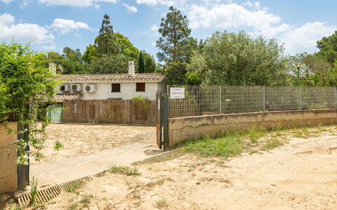 Casa ai Mandorli: Træ, Landdistrikt, Land Lot, Hegn, Landsby, Estate, Jord, Home Fencing, Backyard, Stuehus