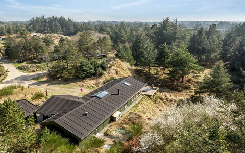 Nimrod - 800M from the Sea: Tag, Hjem, Sommerhus, Landdistrikt, Hældning, Landscaping, Lærk, Evergreen, Pine Family
