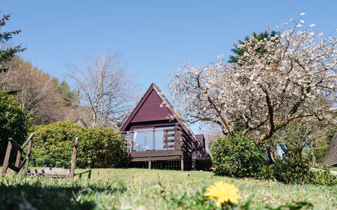 Sandpiper Lodge: Sommerhus, Forår, Have, Fritid, Stuehus, Gård, Landscaping, Blossom, Veranda, Garden Bygninger