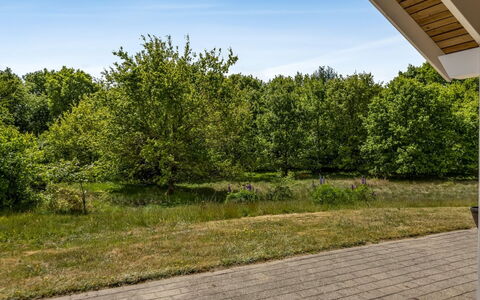 Truels - 30Km from the Sea: Grøn, Blad, Afdeling, Vegetationen, Busk, Almindeligt, Have, Vedplante, Sollys, Lawn