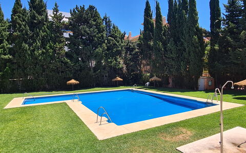 Carib Playa: Svømmepøl, Fritid, Udvej, Have, Skygge, Landscaping, Backyard, Lawn, Evergreen, Hacienda