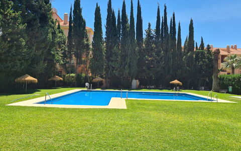 Carib Playa: Svømmepøl, Have, Lawn, Landscaping, Fritid, Udvej, Hacienda, Estate, Gård, Backyard
