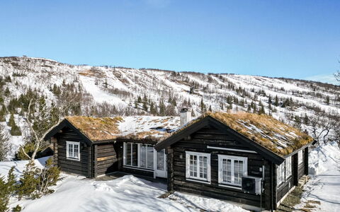 Fjälldrömmen: Blå, Svømmepøl, Udvej, Skygge, Eco Hotel, Hotel, Tropics, Landscaping, Villa