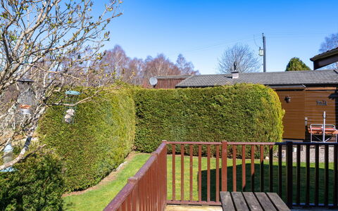 Lodge 4: Busk, Hæk, Have, Hegn, Home Fencing, Landscaping, Backyard, Lawn, Gård, Skygge