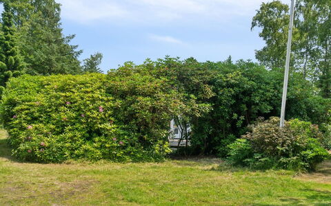 Rieke - from the Sea: Træ, Gulvbelægning, Indretning, Etage, Møbel, Trægulve, Værelse, Loft, Bejdse, Hårdttræ