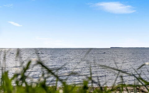 Ørn - 5M from the Sea: Estate, Skygge, Indkørsel, Stuehus