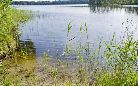 Blue Lake Villa: Seng, Møbel, Soveværelse, Indretning, Sengetøj, Sengetøj, Gulvbelægning, Træ, Etage, Værelse