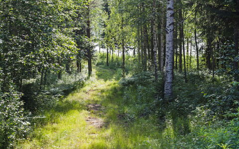 Blue Lake Villa: Seng, Møbel, Soveværelse, Indretning, Sengetøj, Sengetøj, Gulvbelægning, Træ, Etage, Værelse