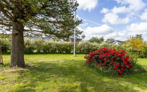 Winona - 250M from the Sea: Vegetationen, Busk, Forår, Sommerhus, Have, Skygge, Backyard, Gård, Stol