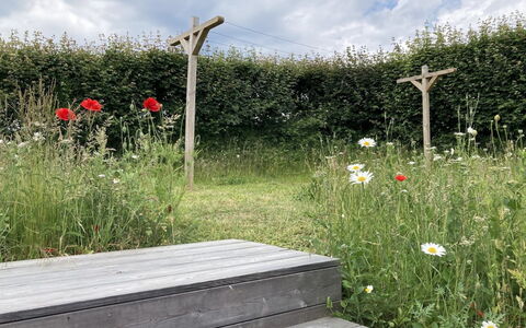 Valia - 20M from the Sea: Busk, Plantesamfund, Land Lot, Have, Bunddække, Forår, Eng, Wildflower, Urteagtig Plante