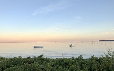 Valia - 20M from the Sea