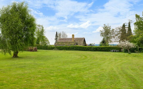 Andine - 250M from the Sea
