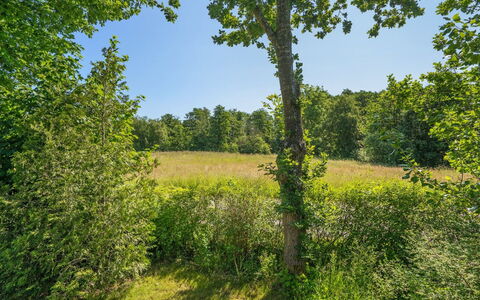 Steffenie - 250M from the Sea: Træ, Hjem, Veranda, Dæk, Hårdttræ, Tag, Bejdse, Trægulve, Eco Hotel