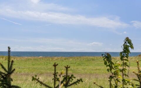 Naina - 200M from the Sea: Blå, Busk, Sommerhus, Bunddække, Have, Estate, Skygge, Landscaping, Stuehus, Eco Hotel