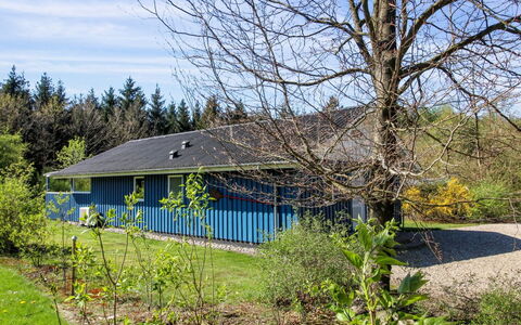 Alia - 30Km from the Sea: Estate, Skygge, Indkørsel, Stuehus