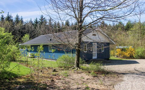 Alia - 30Km from the Sea: Estate, Skygge, Indkørsel, Stuehus