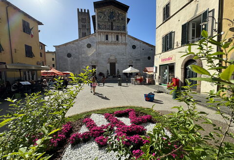 Anna: Bygning, Vindue, Stad, Facade, Blomsterkrukke, Paraply, Udendørs Bord, Udendørs Møbler, Rådhusplads, Stueplante