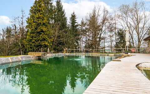 Oase im Grünen: Svømmepøl, Afspejling, Reservoir, Vinter, Dam, Lærk, Water Feature, Udvej