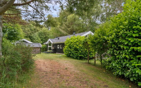 Tekla - from the Sea: Træ, Afdeling, Busk, Hus, Hjem, Sommerhus, Have, Estate, Lawn, Landscaping