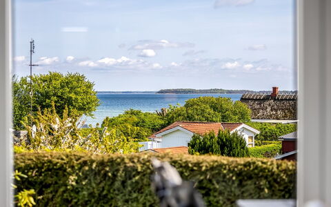 Egonie - 100M from the Sea: Estate, Skygge, Indkørsel, Stuehus
