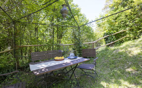 Il Castagneto: Plantesamfund, Jungle, Have, Skygge, Woodland, Valdivian Tempereret Regnskov, Udendørs Struktur, Rainforest, Backyard