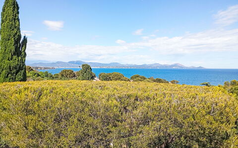 Maïca: Blå, Himmel, Grøn, Blad, Vegetationen, Horisont, Plantesamfund, Hav, Ocean, Morgen