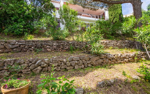 Maïca: Vegetationen, Busk, Plantesamfund, Bunddække, Have, Stenmur, Landscaping, Skygge, Backyard