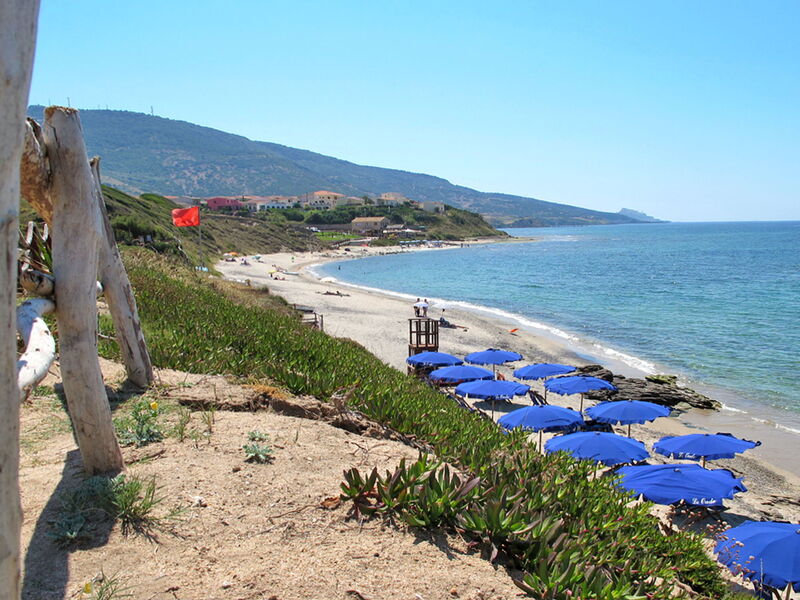 Oleandri