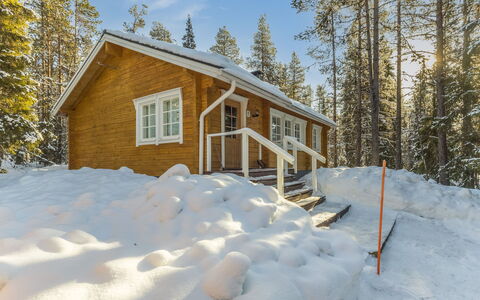 Jerisrannantie 7: Træ, Sommerhus, Bjælkehytte, Skov, Skur, Garden Bygninger, Lærk, Woodland, Bejdse