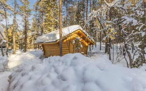 Jerisrannantie 7: Træ, Sommerhus, Bjælkehytte, Skov, Skur, Garden Bygninger, Lærk, Woodland, Bejdse