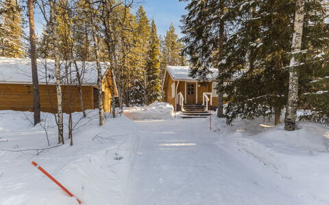 Jerisrannantie 7: Træ, Sommerhus, Bjælkehytte, Skov, Skur, Garden Bygninger, Lærk, Woodland, Bejdse